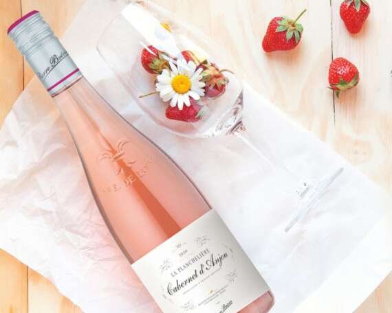 Valentine's Day Gift Ideas