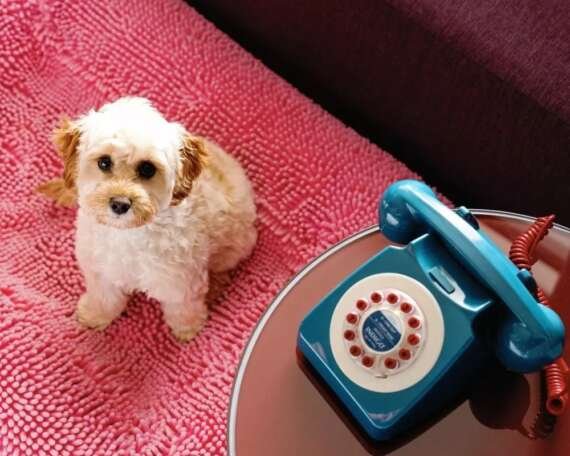 Hotel Indigo Potts Point