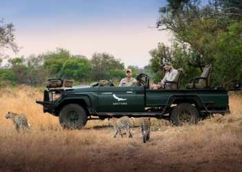 South-Africa-Phinda-Private-Game-Reserve-Game-Drive-Leopard_8