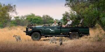 South-Africa-Phinda-Private-Game-Reserve-Game-Drive-Leopard_8