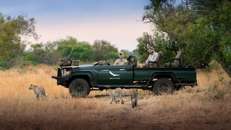South-Africa-Phinda-Private-Game-Reserve-Game-Drive-Leopard_8