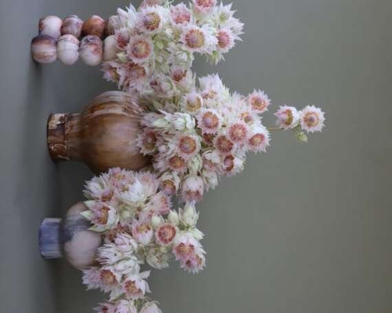 Floral Installations