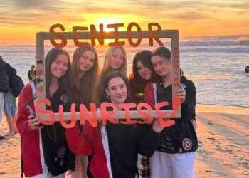 AI Job Application Xref