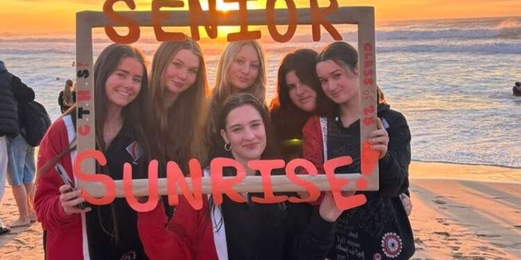 AI Job Application Xref