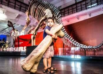 Free school holiday activity