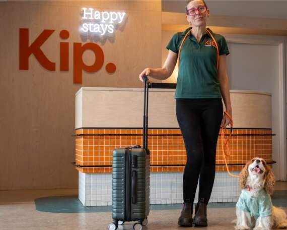 travelling without pets