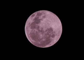 Pink Moon