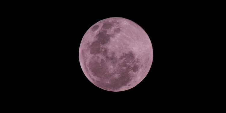Pink Moon
