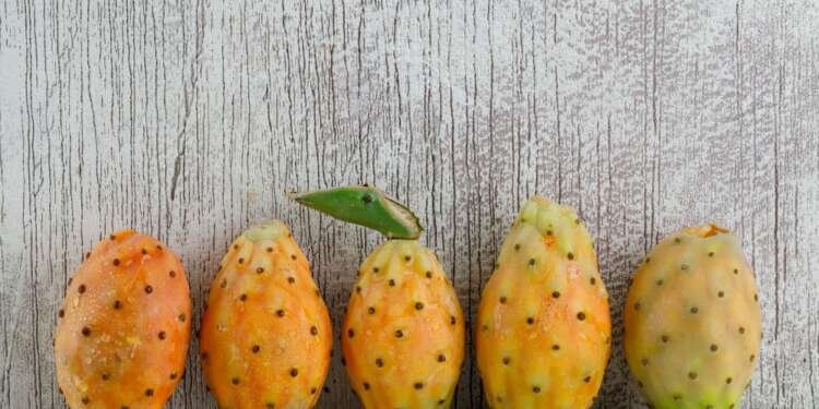 Prickly pear in hair care