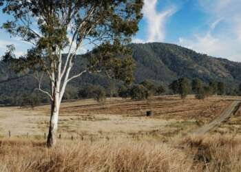 All-Hybrid Mazda CX-80 Warrumbungles and Mudgee road trip