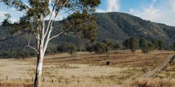 All-Hybrid Mazda CX-80 Warrumbungles and Mudgee road trip