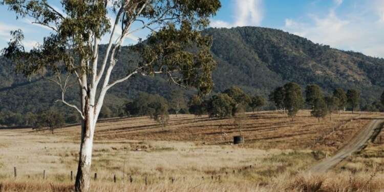 All-Hybrid Mazda CX-80 Warrumbungles and Mudgee road trip