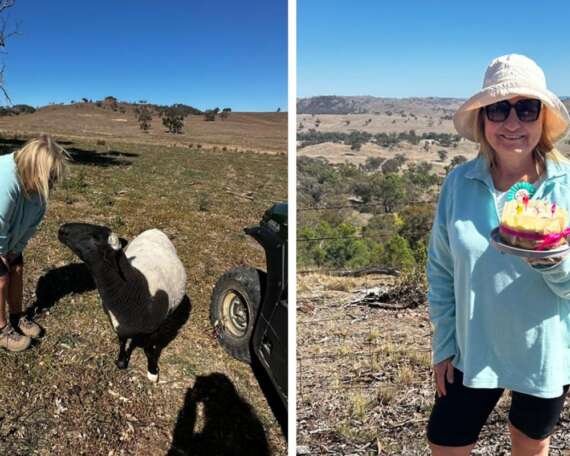 Warrumbungles and Mudgee road trip in the all-hybrid Mazda CX-80 Piambong Creek Farm Tours 