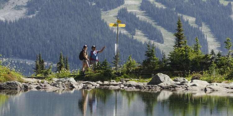 Whistler