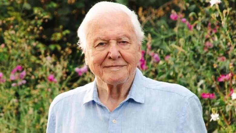 David Attenborough
