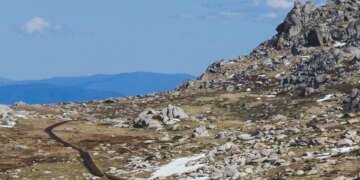 Snowies Alpine Walk
