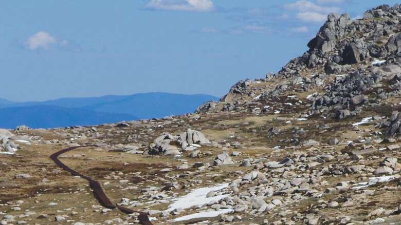 Snowies Alpine Walk