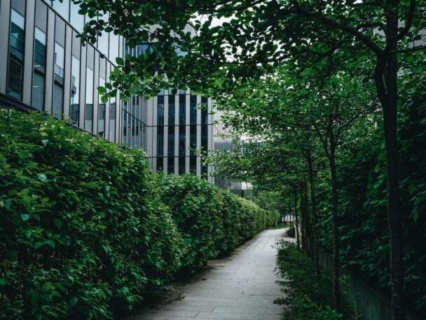 urban street