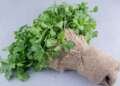 Parsley Seed Skin Care