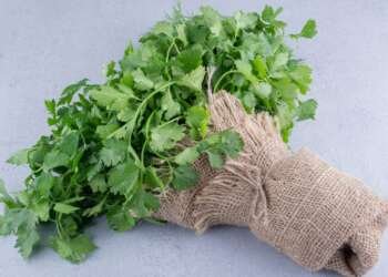 Parsley Seed Skin Care
