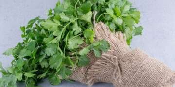 Parsley Seed Skin Care
