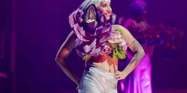 2026 World of WearableArt (WOW) Competition