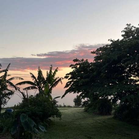 byron bay hinterland