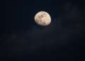 Buck Moon
