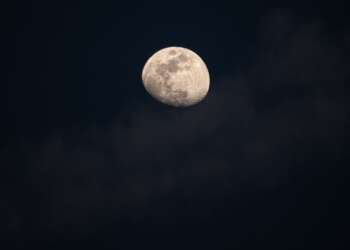 Buck Moon