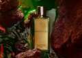 Niche Fragrance