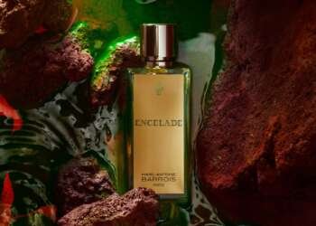 Niche Fragrance