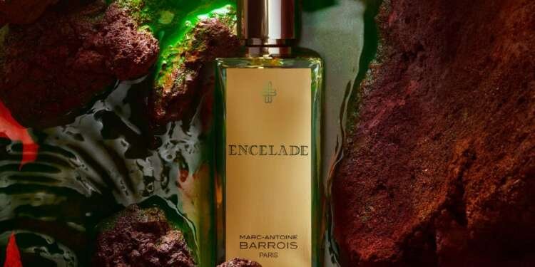 Niche Fragrance